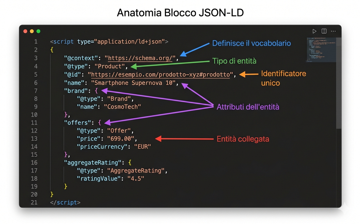 anatomia schema json-ld